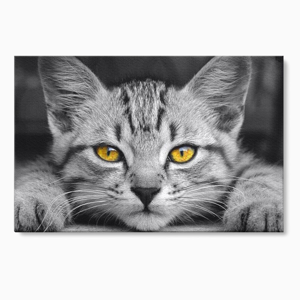Tablou canvas cu tablou canvas cu o pisica alb-negru si ochi galbeni, fara rama, pe sasiu de lemn